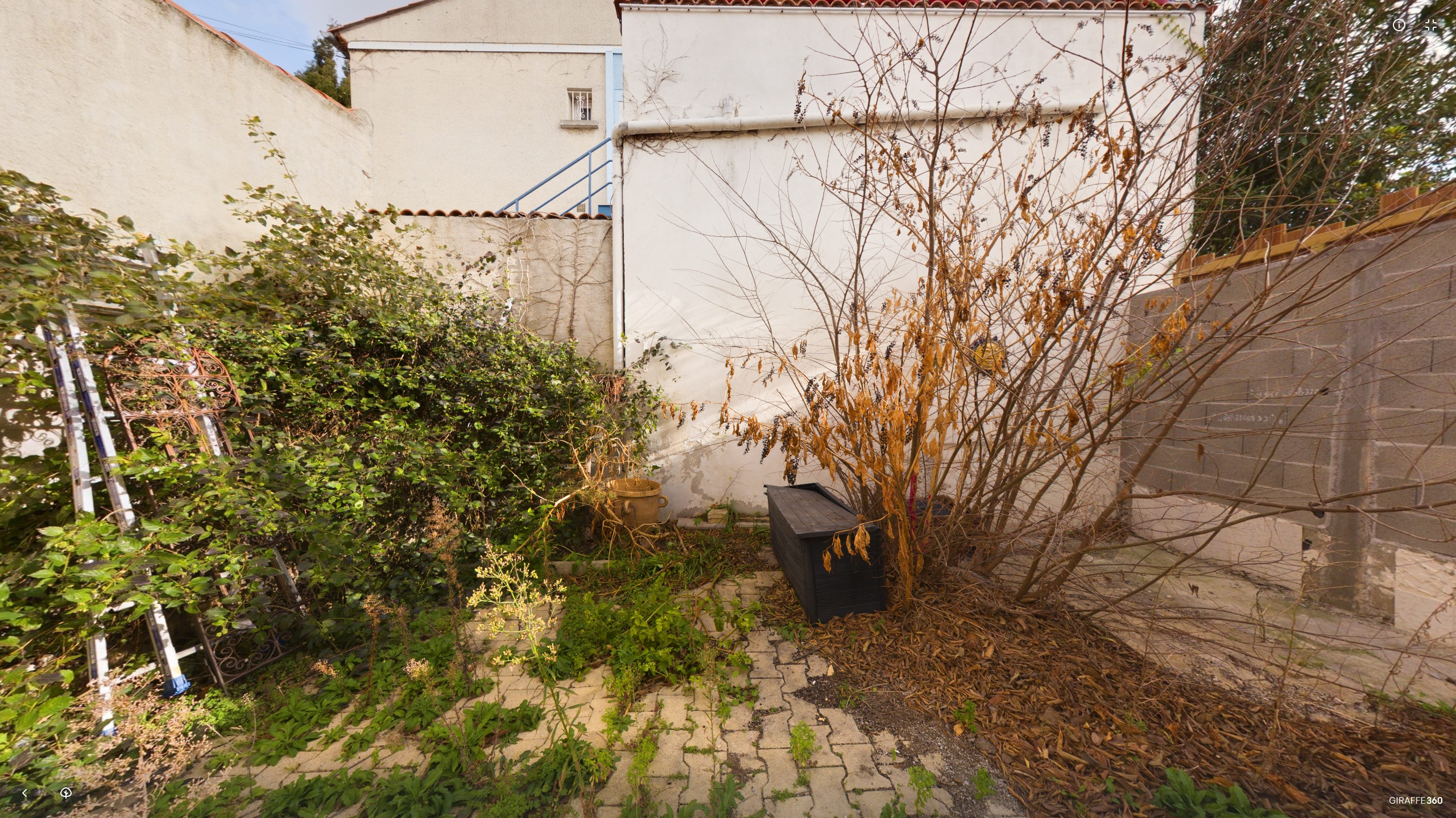 jardin en ville abandonné