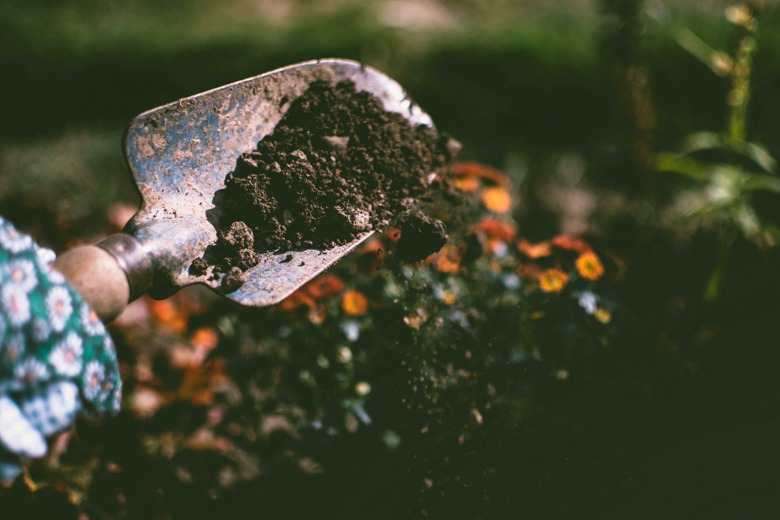 Mars – Amender la terre pour un futur potager