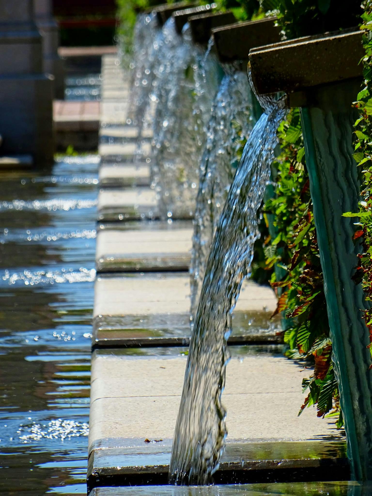 Avril – Installer un récupérateur d’eau
